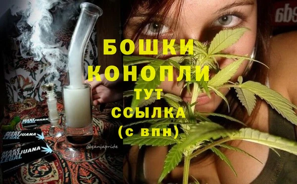 прущий лед Лагань